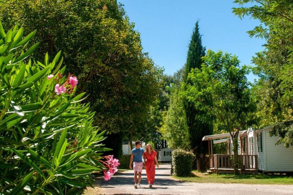 Mobil Home Tout Confort 6 Personnes Climatise Au Pied Du Luberon La Roque-d'Antheron Ngoại thất bức ảnh